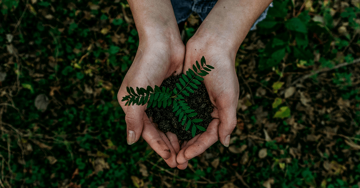 Scottish Power Energy Networks Net-Zero fund opens for applications: Keith Brown MSP encourages local organisations to&nbsp;apply.